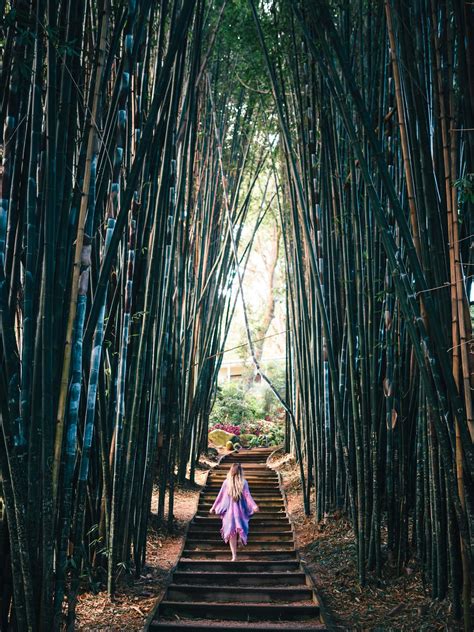  The Enchanted Bamboo: A Tale Woven from Dreams, Nature, and Hidden Treasures!